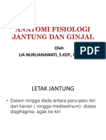 Anatomi Fisiologi Jantung Dan Ginjal