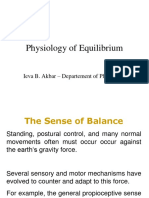 01. the Sense of Balance