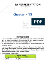 Chapter 13 Engdata Representation