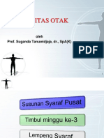 Plastisitas Otak Prof Suganda