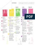 Ebook 5 Aceites Esenciales PDF