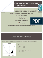 Calculo integral