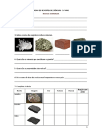 Ficha de Revisões de Ciências