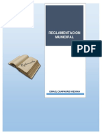 Reglamentacion Municipal PDF