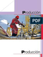 área de producción en campos petroleros.pdf