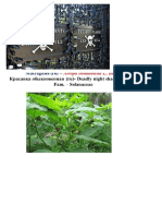 plante-toxice-2.docx