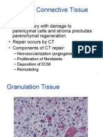 Pathology, Lecture 9, Tissue Repair #3 (Slides)