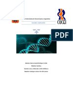 Regiones Codificantes