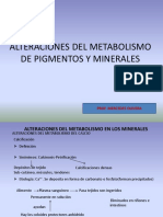 Alteracion Del Metabolismo de Pugmentos y Minerales