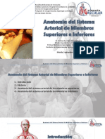 Anatomia Del Sistema Arterial DR Cristian Pino 1