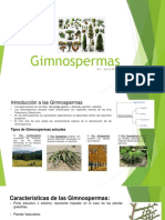 7. Gimnosperma