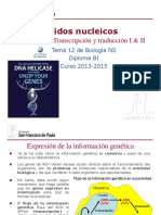 GTP_T11. Ácidos Nucleicos (3ªy4ªParte_Transcripción y Traducción) 2013-15