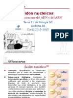 GTP_T11 .Ácidos Nucleicos (1ªParte_Estructura) 2013-15
