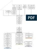 Pathway Acne Vulgaris