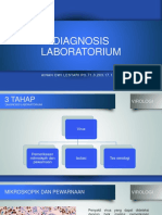 Diagnosis Laboratorium