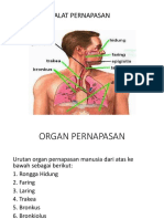 Alat Pernapasan