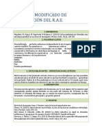 Formato de Elaboración Del Rae