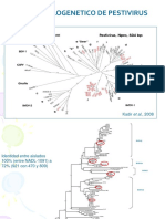 Cambios Genomicos en Pestivirus