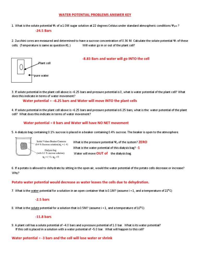 Water Potential Problems and Solutions | PDF | Sucrose | Water