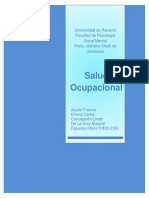 Monografia de Salud Ocupacional