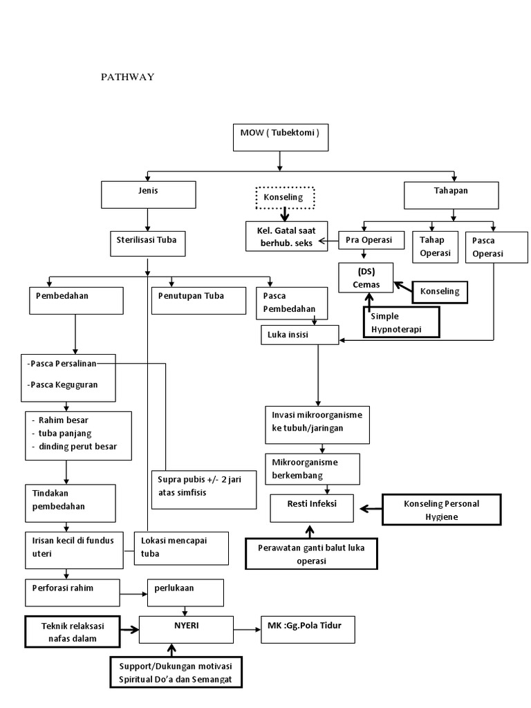 Pathway Ok | PDF