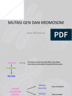 Mutasi gen dan kromosom efeknya