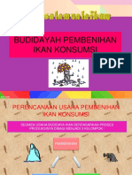 Budidayah Pembenihan Ikan Konsumsi