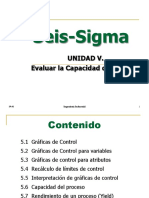 5 Evaluar La Capacidad Del Proceso