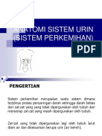 Anatomi Sistem Perkemihan