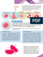 PROCESOS VITALES EN EL AMBIENTE ENSAYOS Y NOTAS DEL DIA.pdf