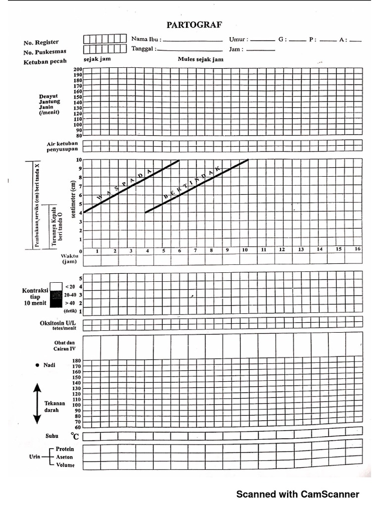 Contoh Patograf | PDF