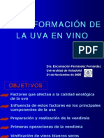 Curso Español Uva - en - Vino