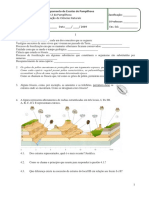 TesteCiênciasHistTerra Estrutura Interna Deriva e Tectonica