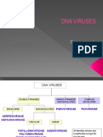 Dna Viruses