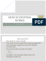How Ecosystem Works