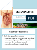 1.sistem Digestif