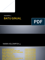 Batu Ginjal Fix1