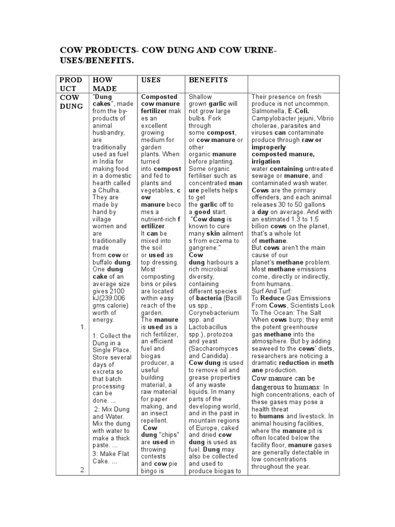 Benefits and Uses of Cow Dung and Urine | PDF | Biogas | Manure