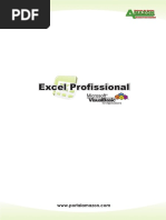 Excel Pro Fissional