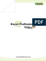 Excel Pro Fissional