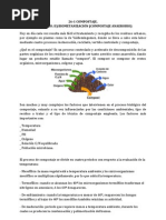 MANEJO DE RESIDUOS