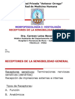 2 Receptores de La Sensibilidad General Dra Leiva PDF