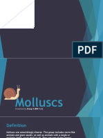Ch. 16. Molluscs - BSBIO1-4