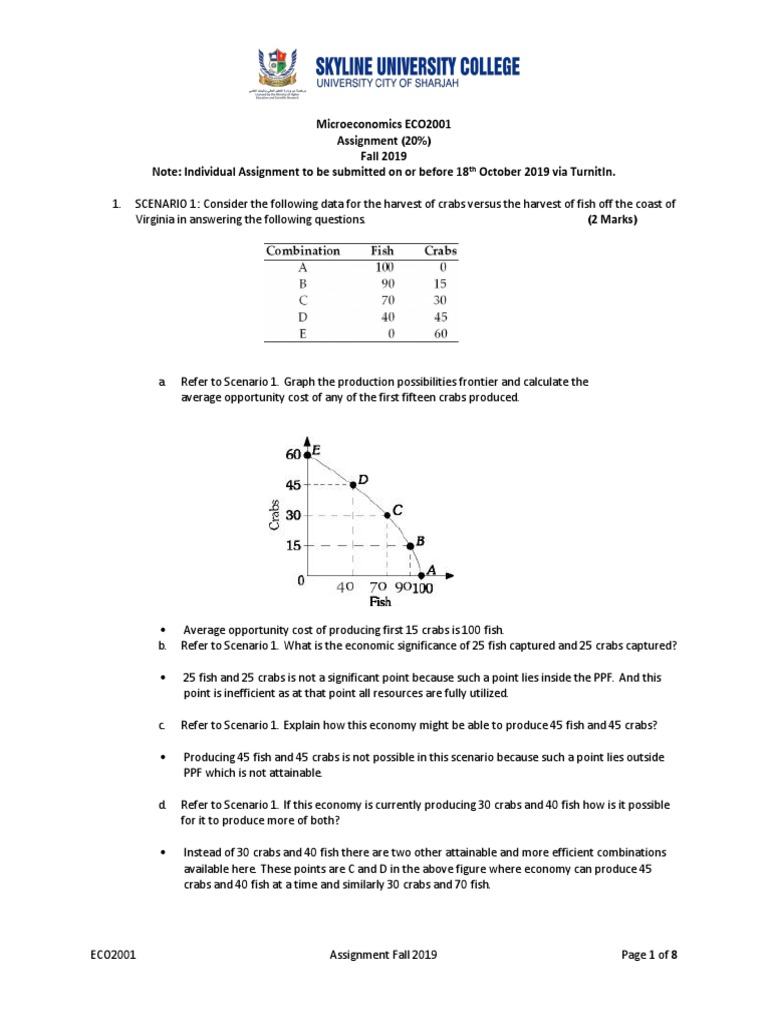 Microeconomics Assignment Fall 2019 | PDF | Price Elasticity Of Demand ...