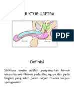 STRIKTUR URETRA.pptx