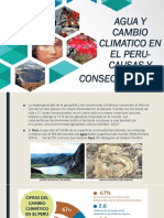 AGUA Y CAMBIO CLIMATICO EN EL PERU - Causas