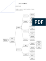 Patologia Renal