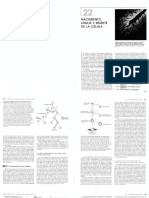 Biología - Lodish - Cap. 22