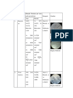 Hasill Pengamatan Dan Analisis Stomata