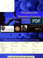 2 Introduccion Dominio Eukarya Enero Junio 2015 1-1 PDF